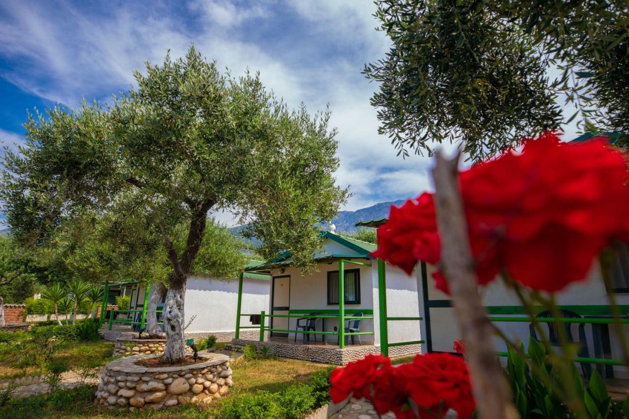 Chalet Ambel Dhërmi 외부 사진